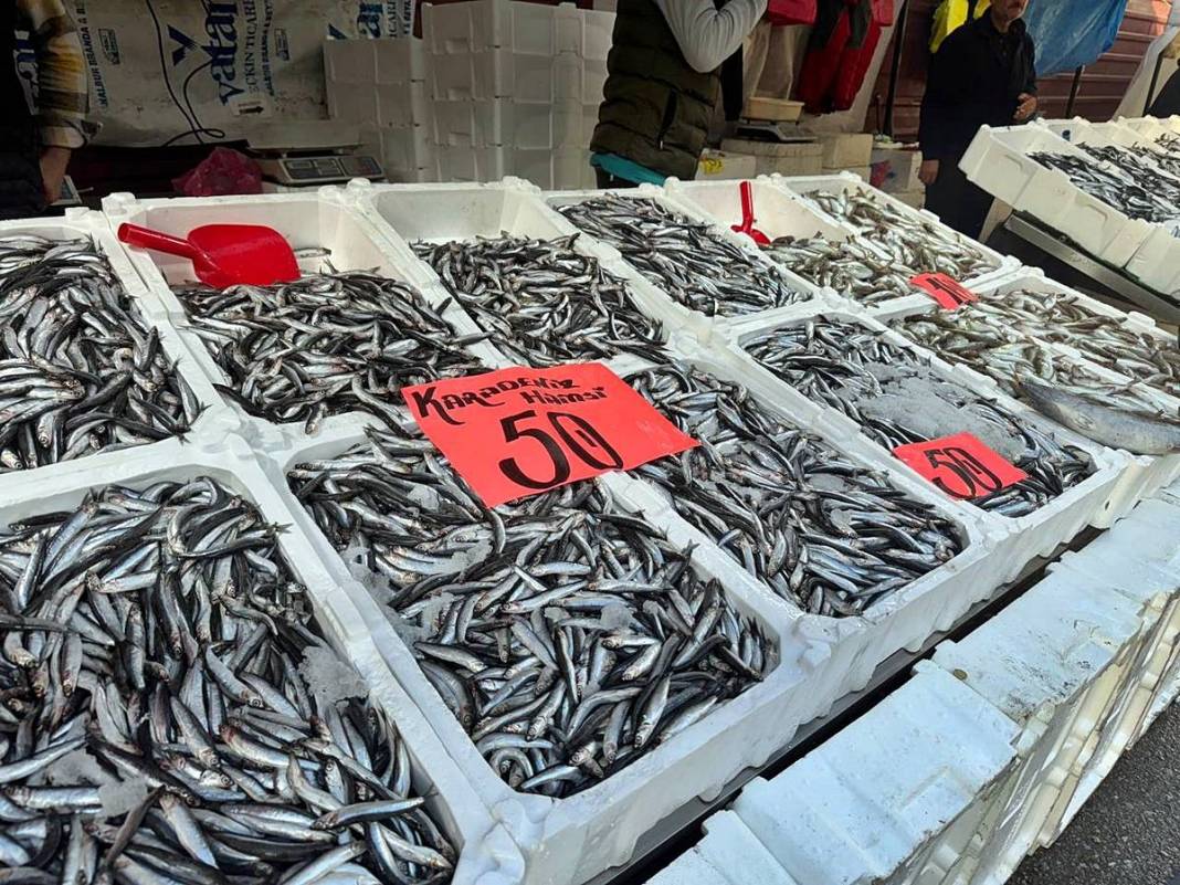 O kentte hamsinin kilosu 50 TL'ye kadar düştü! Fiyatı gören kasa kasa alıyor 14